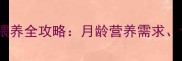 3个月拉布拉多科学喂养全攻略月龄营养需求食谱搭配与常见误区