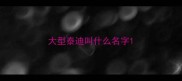 大型泰迪叫什么名字