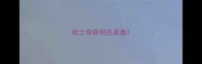 哈士奇聪明还是蠢
