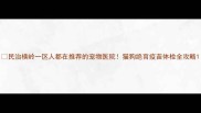 民治横岭一区人都在推荐的宠物医院猫狗绝育疫苗体检全攻略