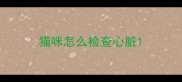 猫咪怎么检查心脏
