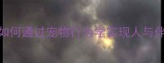 科学饲养指南如何通过宠物行为学实现人与伴侣猫的和谐共生