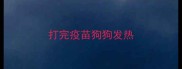 打完疫苗狗狗发热