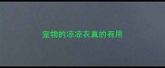 宠物的凉凉衣真的有用