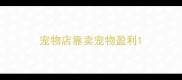 宠物店靠卖宠物盈利