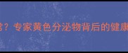 哈士奇生殖器颜色异常专家黄色分泌物背后的健康隐患与科学护理指南