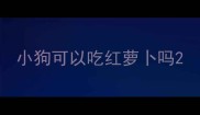 小狗可以吃红萝卜吗
