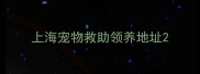 上海宠物救助领养地址