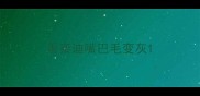 黑泰迪嘴巴毛变灰