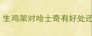 哈士奇能不能吃生鸡架生鸡架对哈士奇有好处还是坏处附安全喂养指南