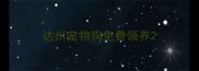 达州宠物狗免费领养