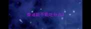 泰迪能不能吃什么