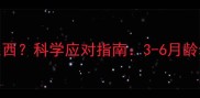 狗狗几个月开始咬东西科学应对指南3-6月龄幼犬行为矫正全攻略