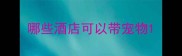哪些酒店可以带宠物