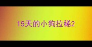15天的小狗拉稀