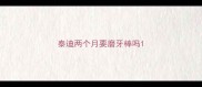 泰迪两个月要磨牙棒吗