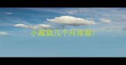 小藏獒几个月难看