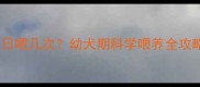 哈士奇幼犬狗粮一日喂几次幼犬期科学喂养全攻略附每日喂食量表