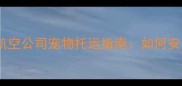 最新国内国际航空公司宠物托运指南如何安全带宠出行