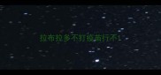 拉布拉多不打疫苗行不