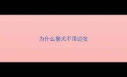 为什么警犬不用边牧