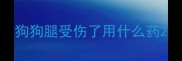 狗狗腿受伤了用什么药