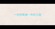 一岁的泰迪一天吃几顿