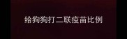 给狗狗打二联疫苗比例