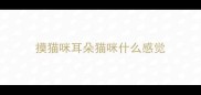 摸猫咪耳朵猫咪什么感觉