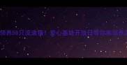 大连免费领养58只流浪猫爱心基地开放日等你来领养温暖的家