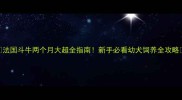 法国斗牛两个月大超全指南新手必看幼犬饲养全攻略