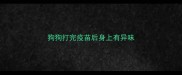 狗狗打完疫苗后身上有异味