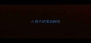 小狗不能喝奶粉吗