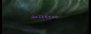 猫咪不舒服怎么办