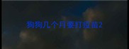 狗狗几个月要打疫苗