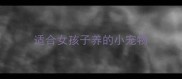 适合女孩子养的小宠物