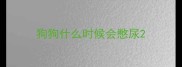 狗狗什么时候会憋尿