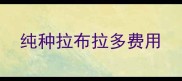 纯种拉布拉多费用