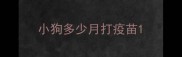 小狗多少月打疫苗