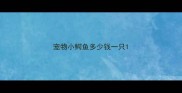 宠物小鳄鱼多少钱一只