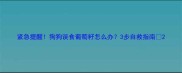 紧急提醒狗狗误食葡萄籽怎么办3步自救指南