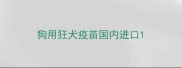 狗用狂犬疫苗国内进口