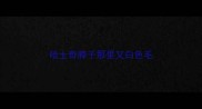 哈士奇脖子那里又白色毛