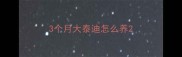 3个月大泰迪怎么养