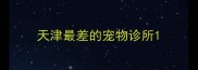 天津最差的宠物诊所