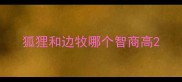 狐狸和边牧哪个智商高