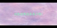 出生拉布拉多多少钱