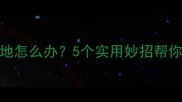 猫咪总把猫粮吃一地怎么办5个实用妙招帮你解决猫咪挑食问题