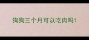 狗狗三个月可以吃肉吗