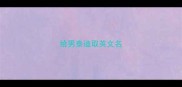 给男泰迪取英文名